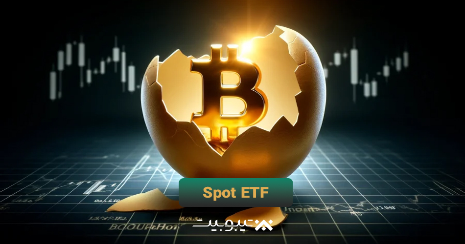 تاثیر (ETF) ای‌تی‌اف اسپات روی قیمت بیت کوین